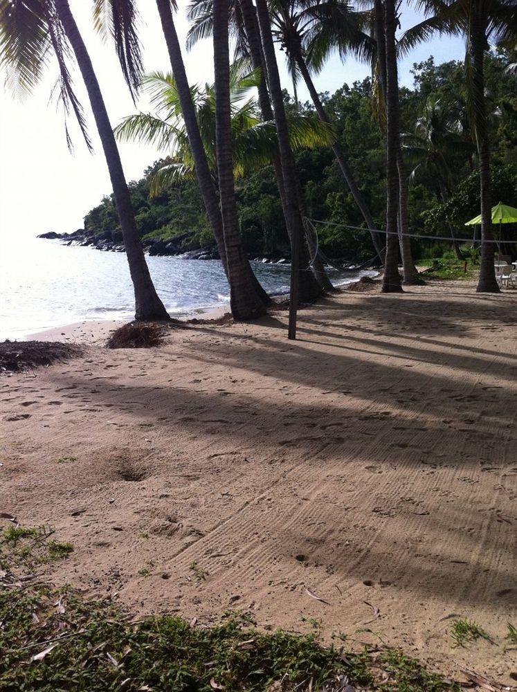 Turtle Cove Beach Resort - Adults Only Lgbtqia & Allies Wangetti Dış mekan fotoğraf